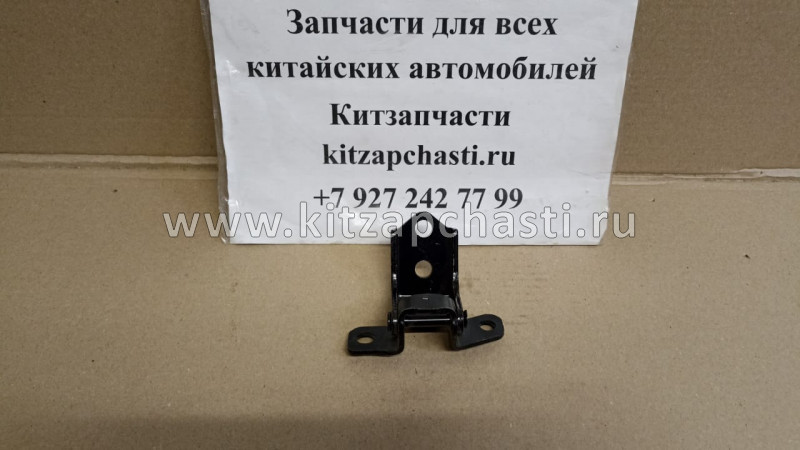 Петля задней левой двери FAW Besturn B50 FC0173240